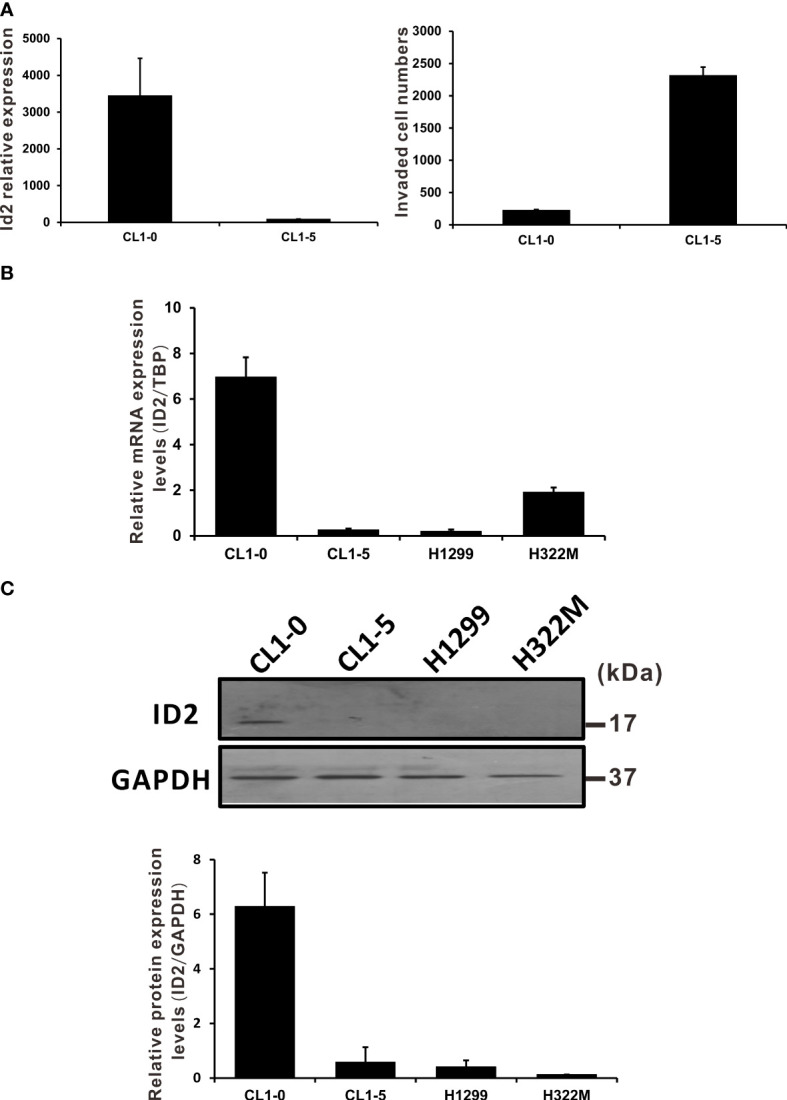 Figure 1