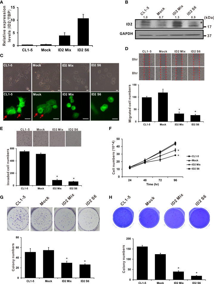 Figure 2