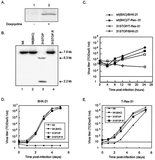 FIG. 6.