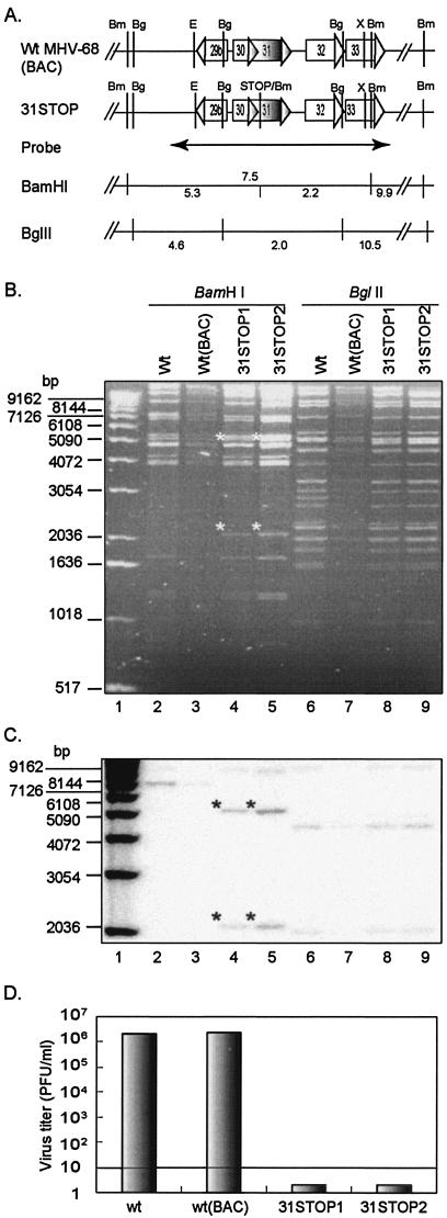 FIG.4.