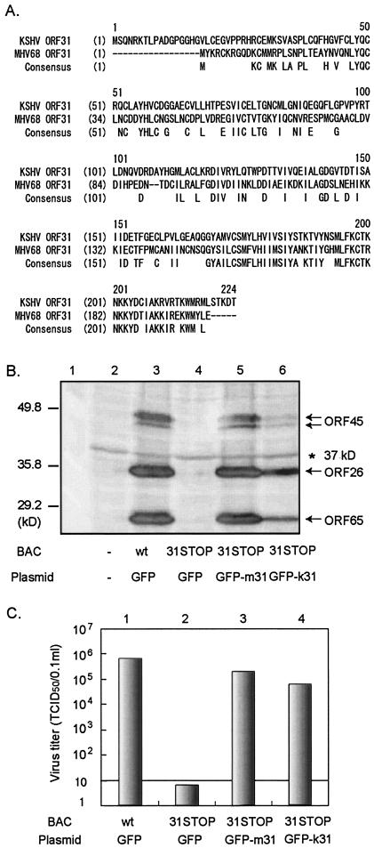 FIG. 5.