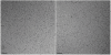 Fig. 9.