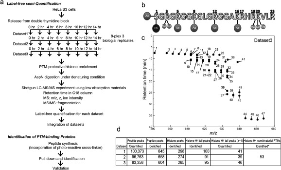 Fig. 1. Workflow to identify histone modifications.