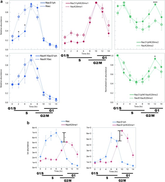 Fig. 3. H4S1ph profiles.