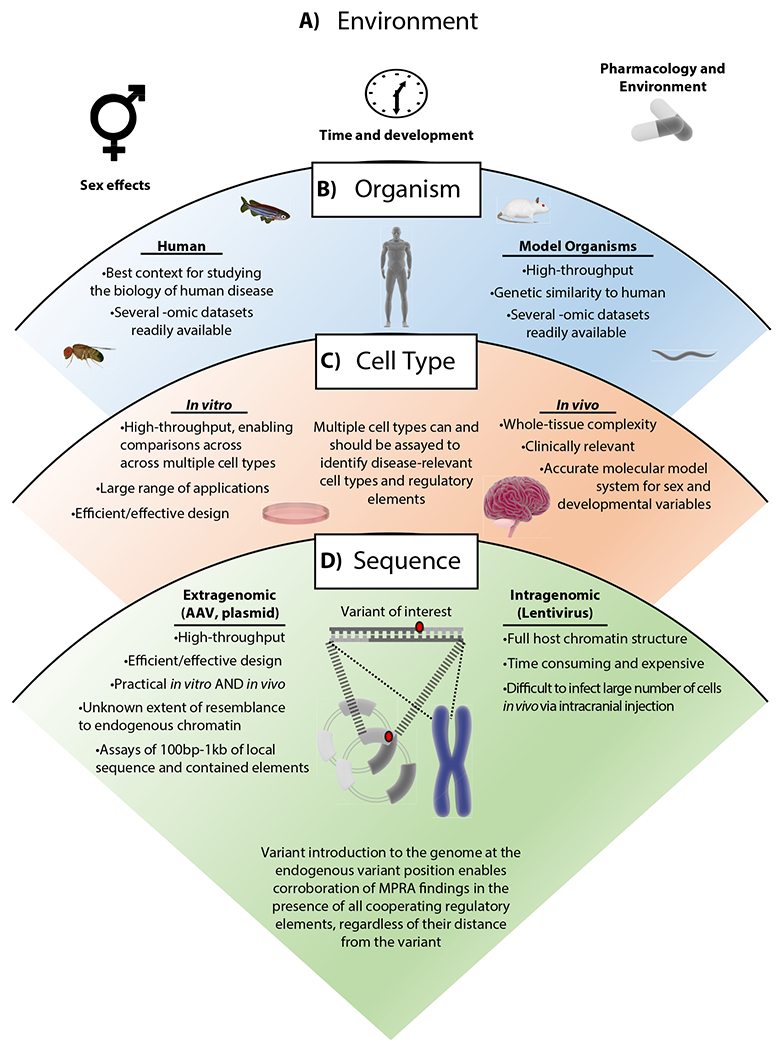 Figure 2 |