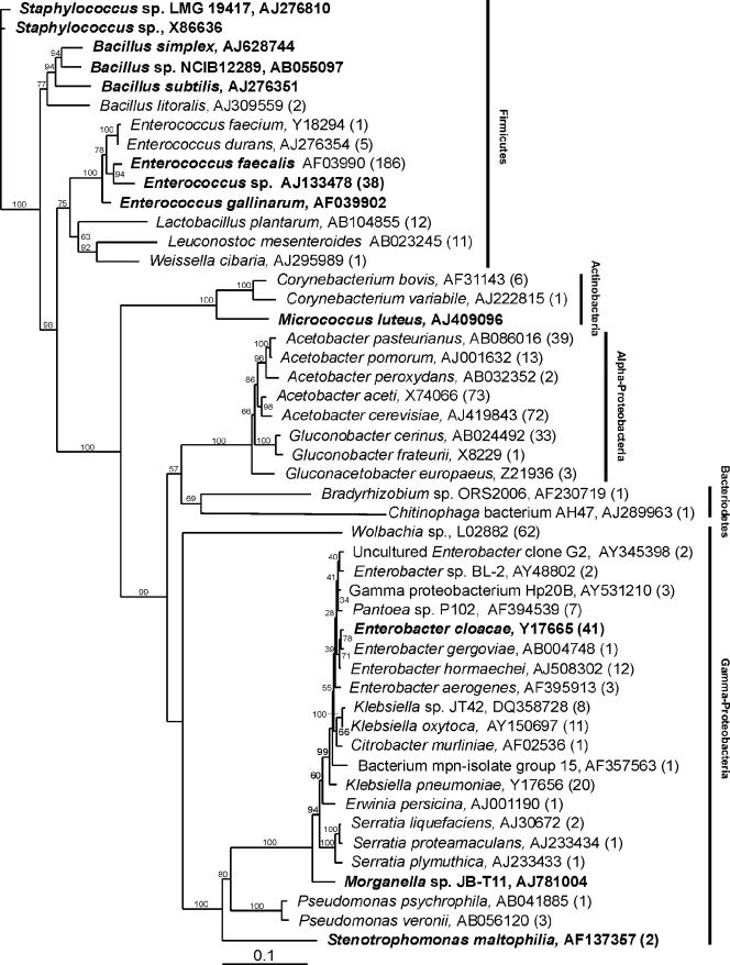 FIG. 1.