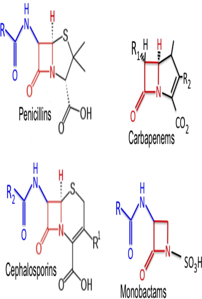 FIG 1