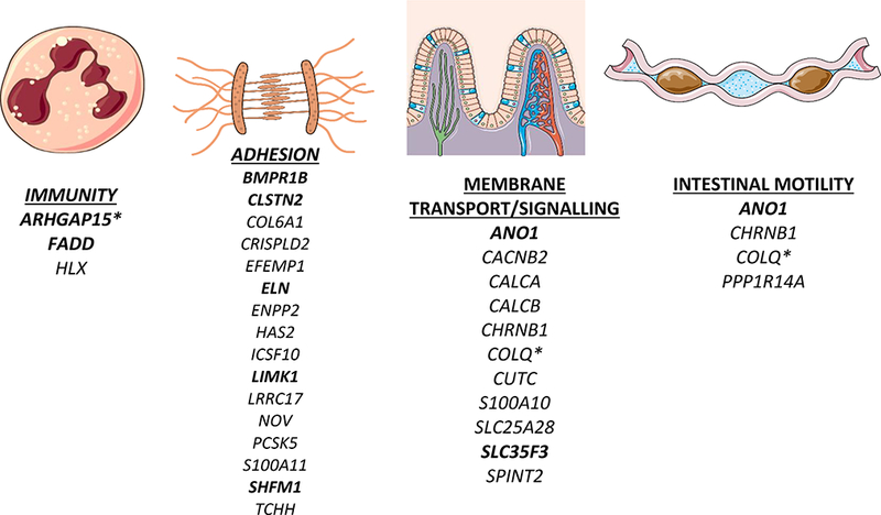 Figure 4: