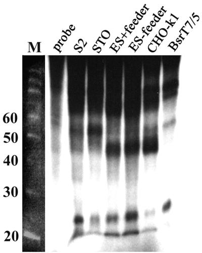 FIG. 8