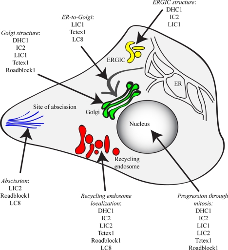 Figure 12.