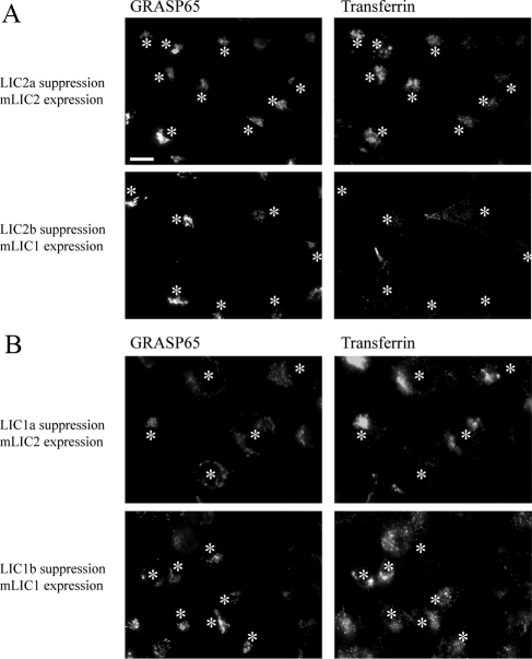 Figure 11.