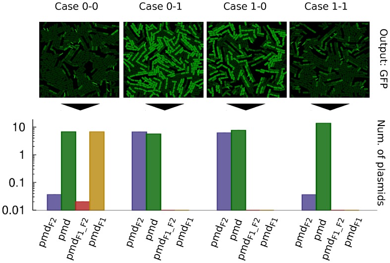 Figure 6