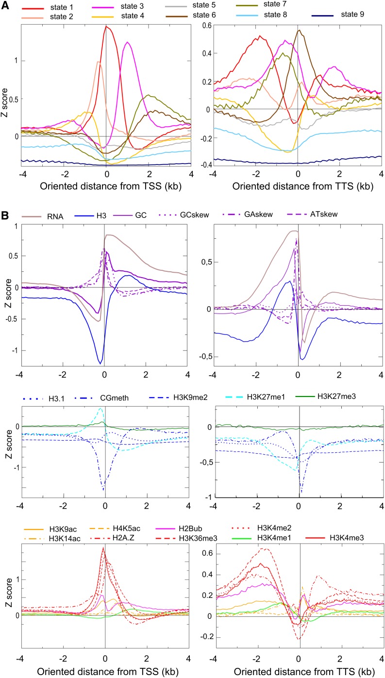 Figure 5.