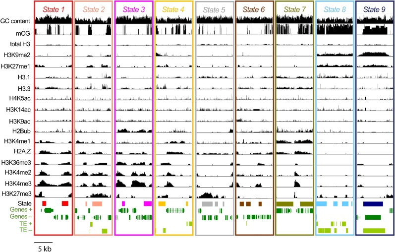 Figure 2.