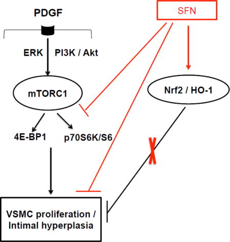 graphic file with name nihms855091u1.jpg