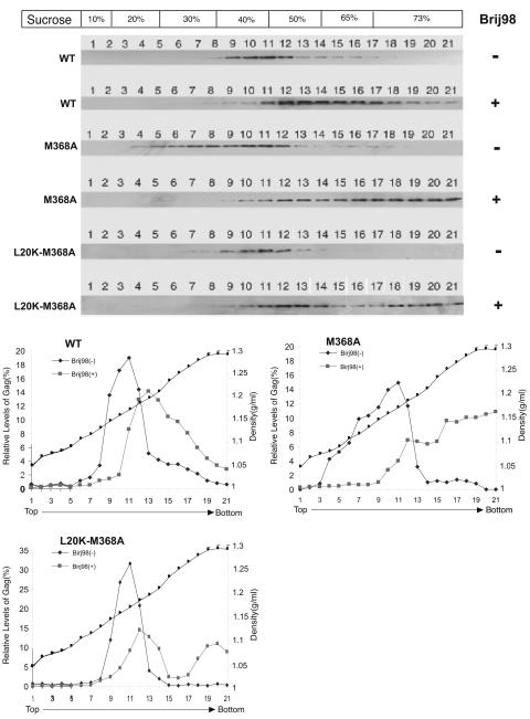 FIG. 4.