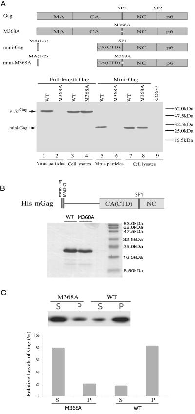 FIG. 6.