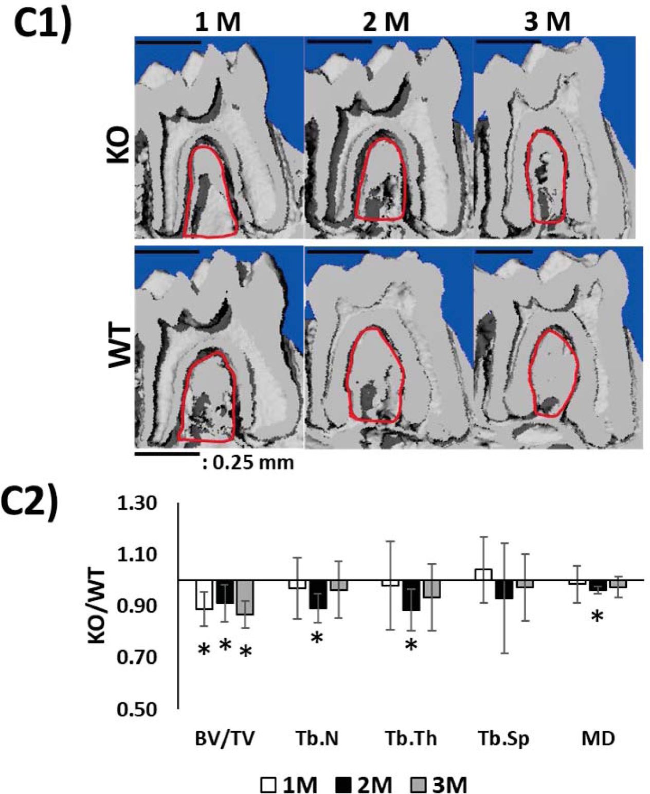 Fig 7.