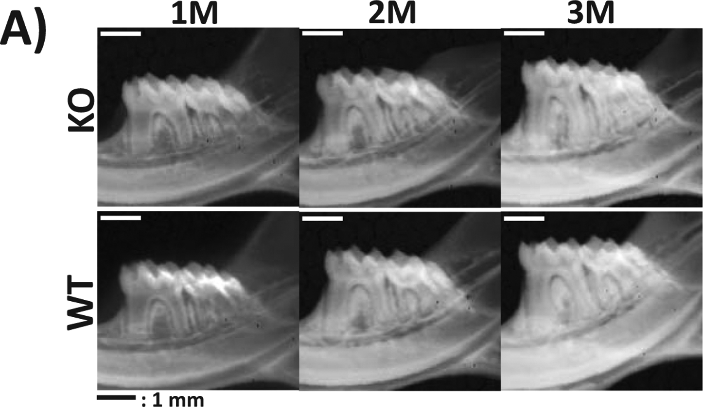 Fig 7.