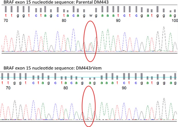 FIGURE 7.