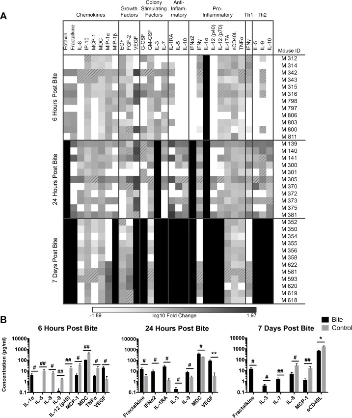 Fig 7