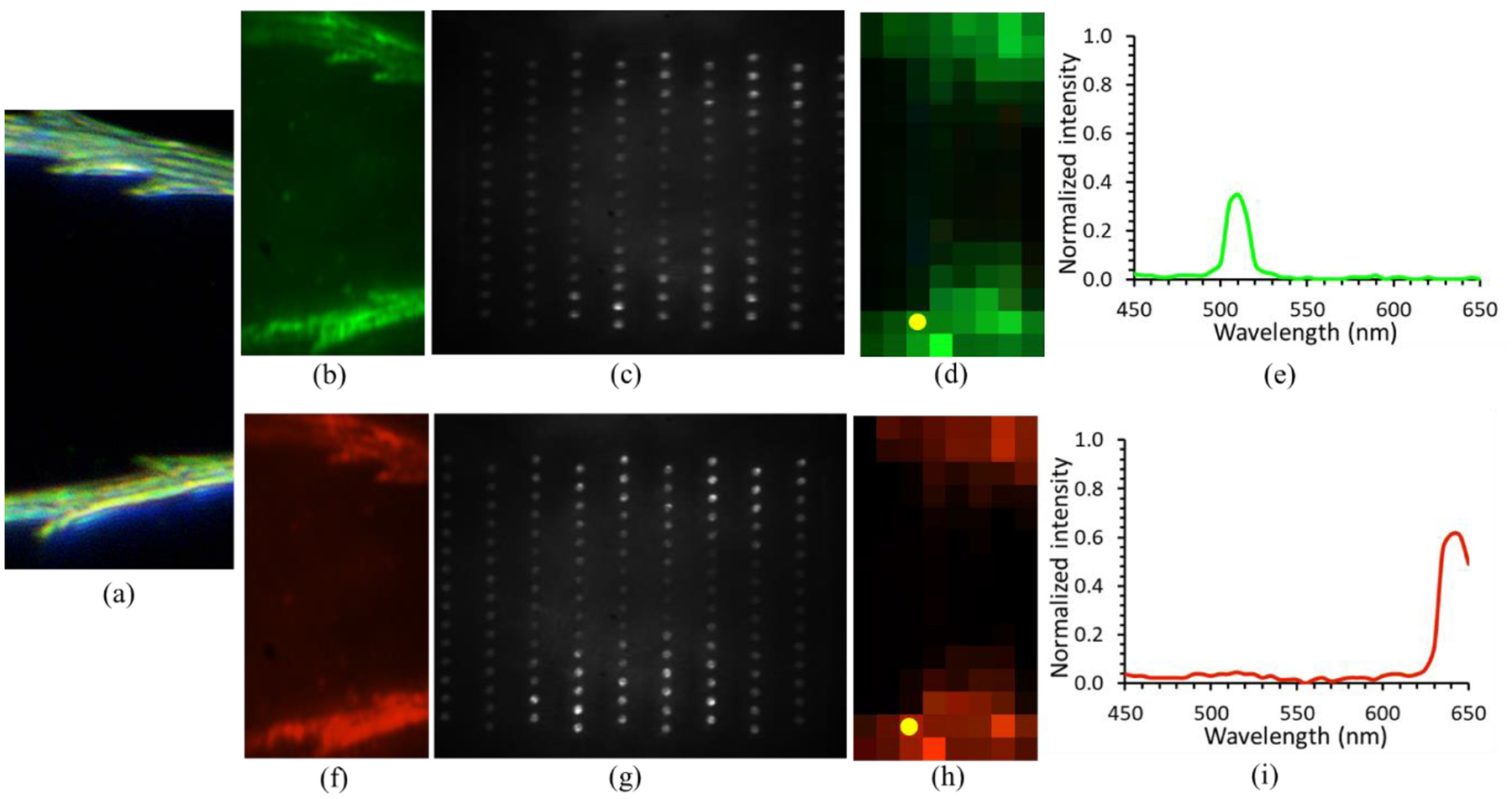 Figure 11.