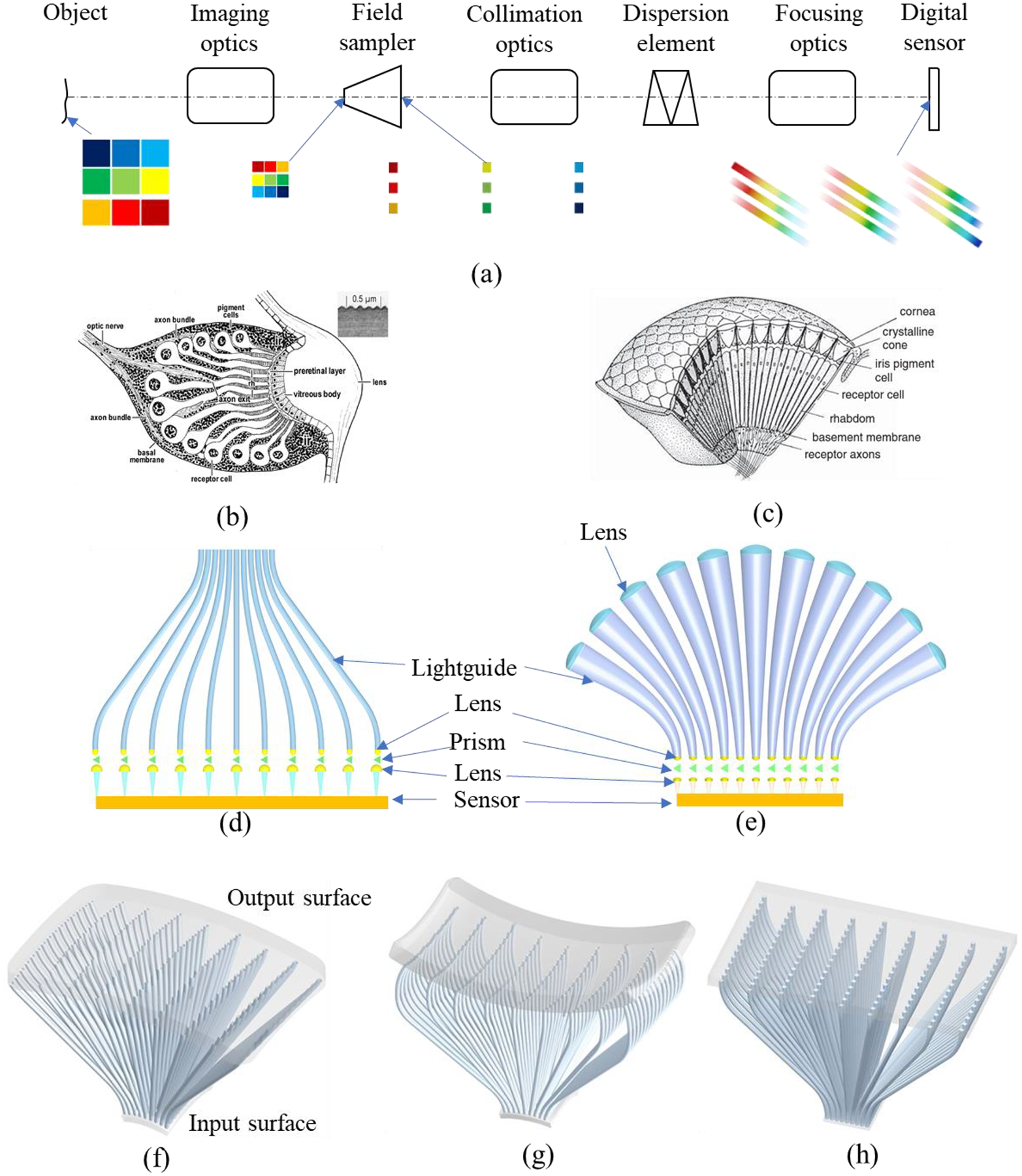 Figure 1.