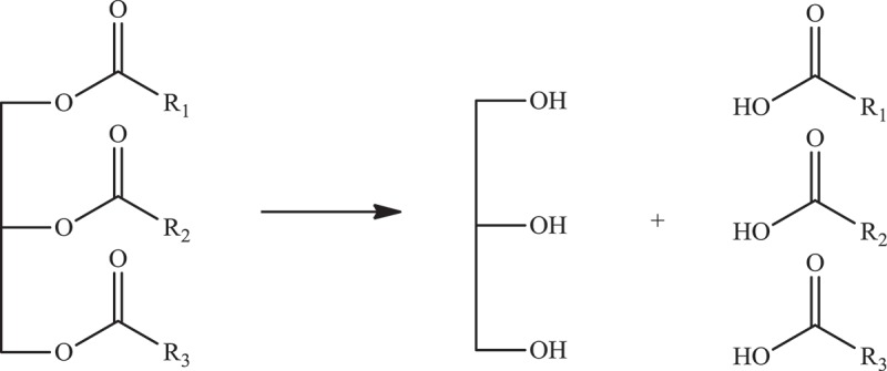 Figure 31.