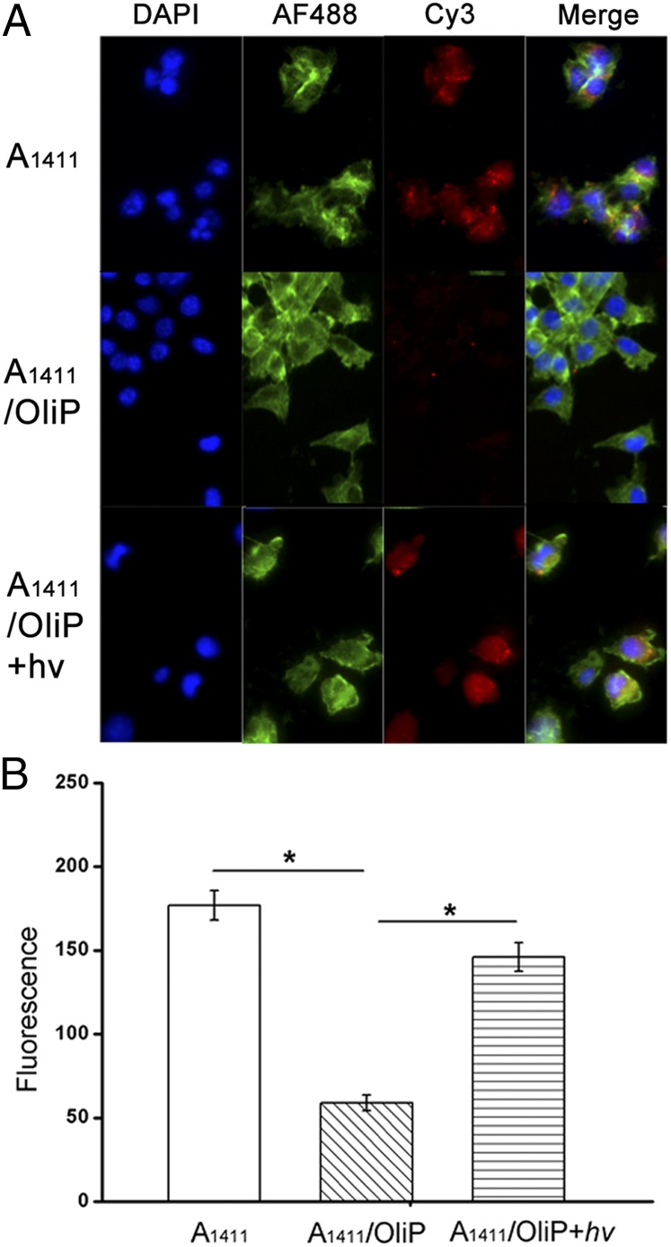 Fig. 3.