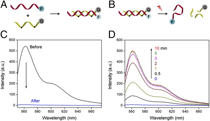 Fig. 2.