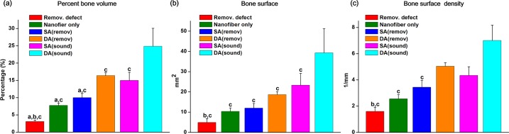 Fig 10