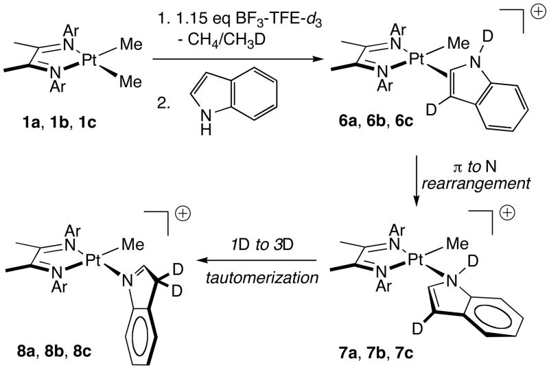 Scheme 5