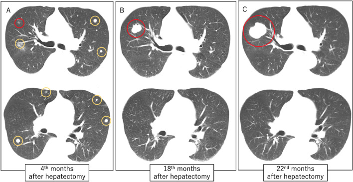 Fig. 3