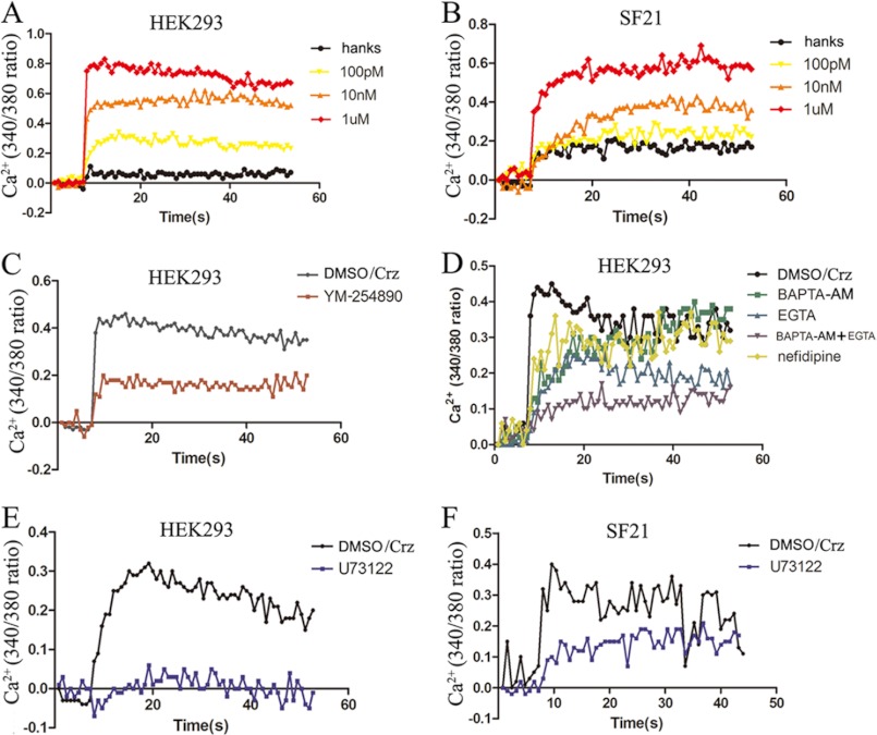 FIGURE 4.