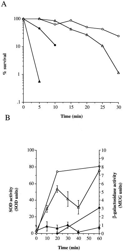 FIG. 5