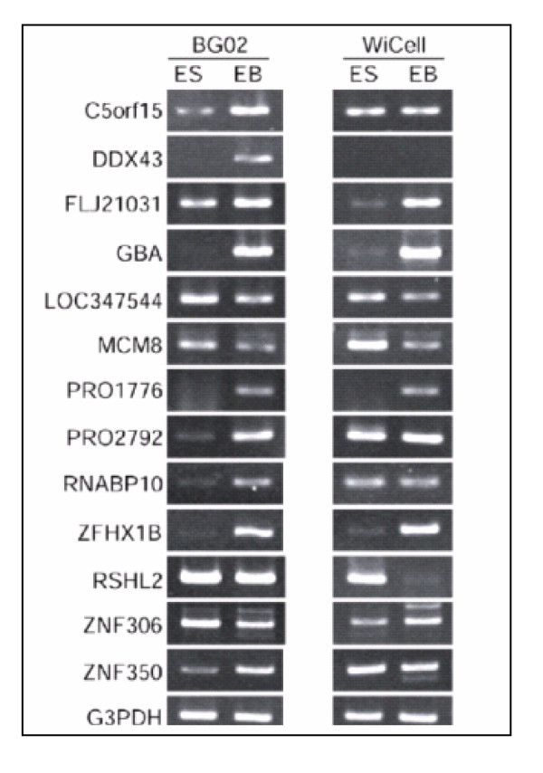 Figure 4