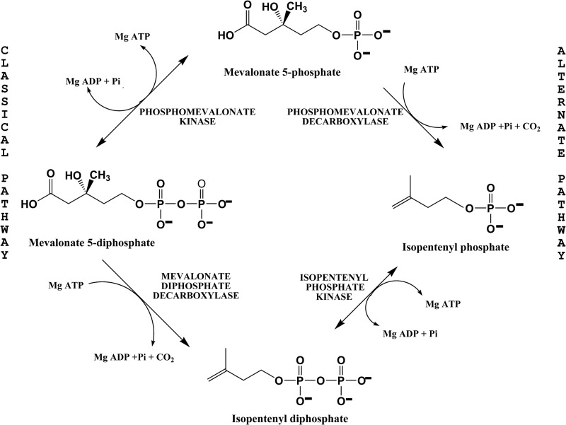 FIG 1