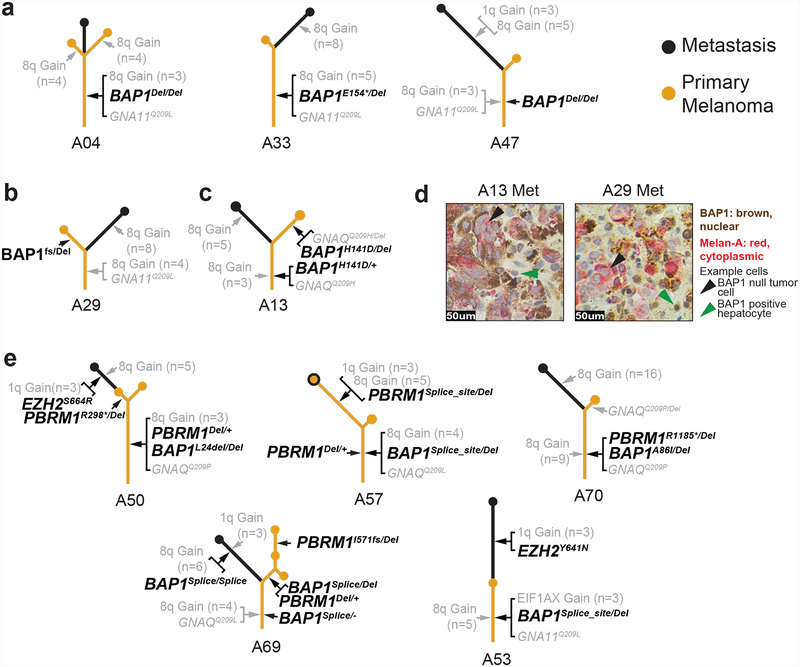 Figure 3 |