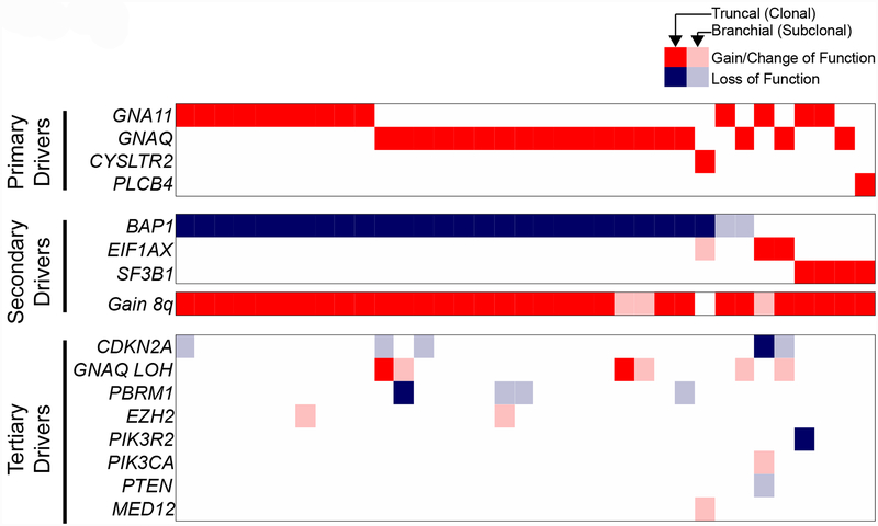 Figure 2 |