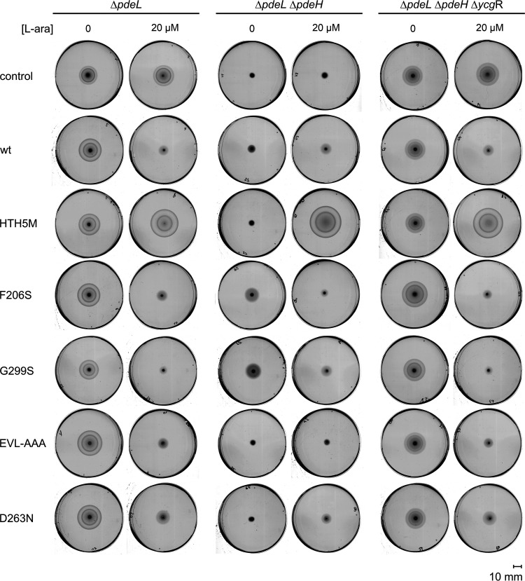 FIG 5