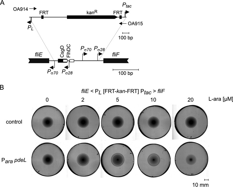 FIG 6