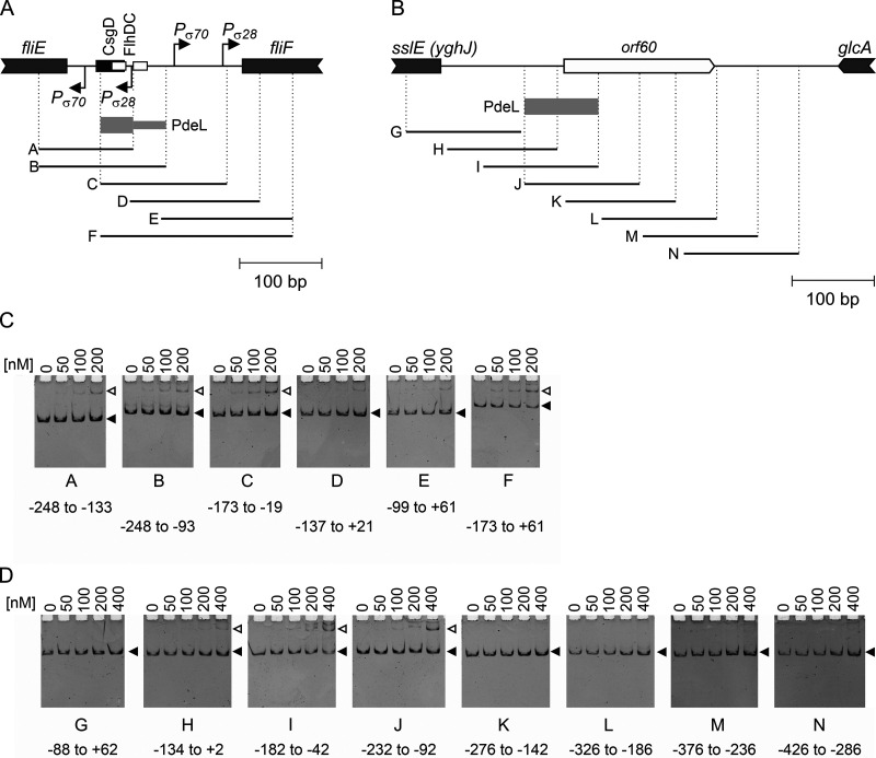 FIG 3