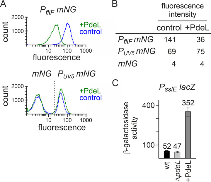 FIG 2