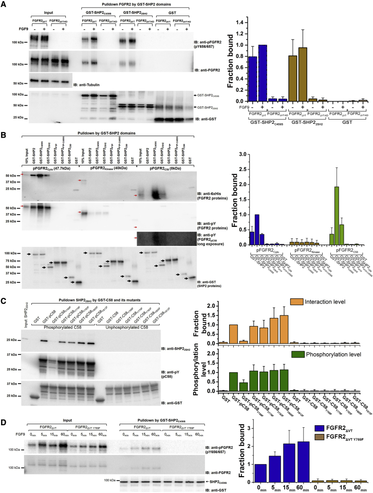 Figure 4