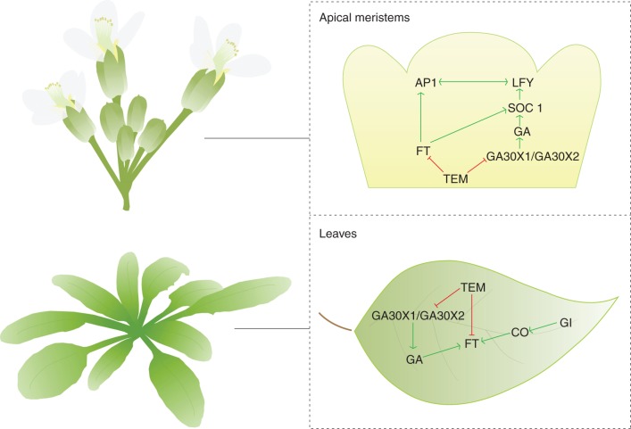 Fig. 2.