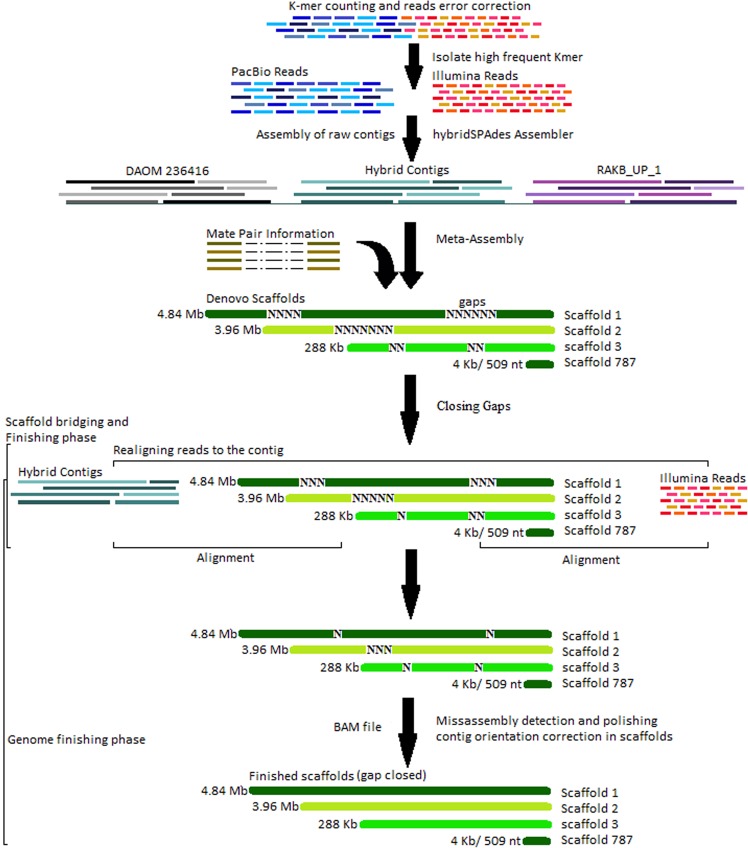 Figure 10