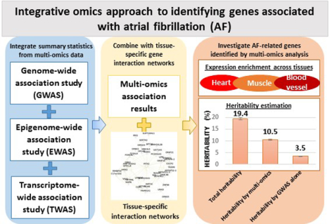 graphic file with name nihms-1549128-f0001.jpg