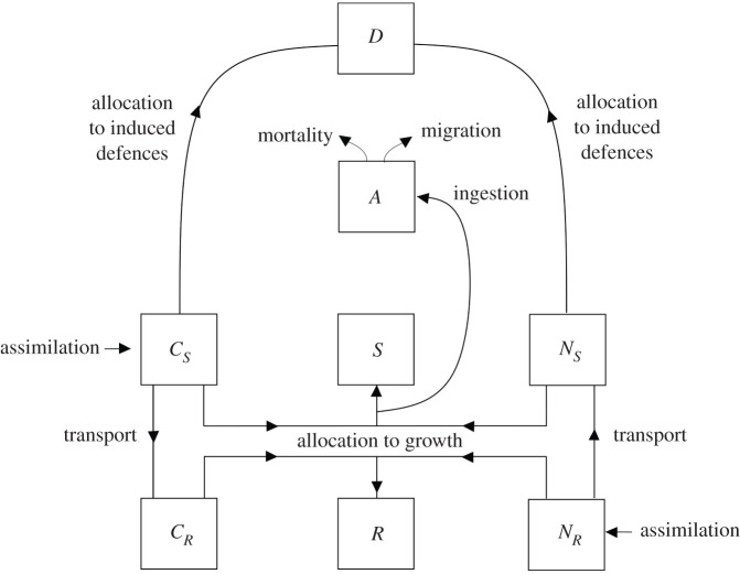 Figure 1.