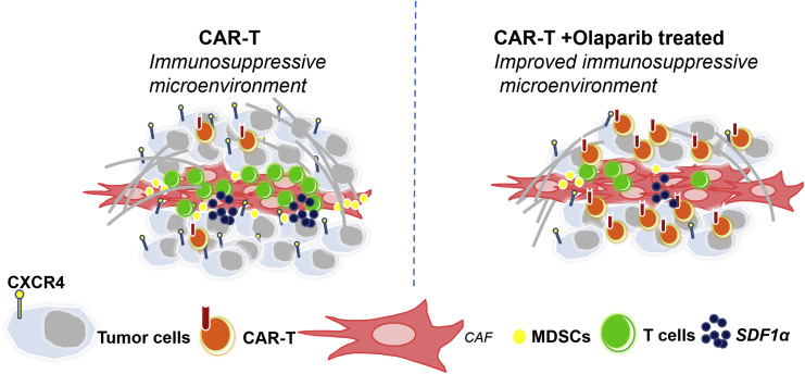 Figure 7