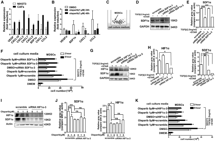 Figure 6